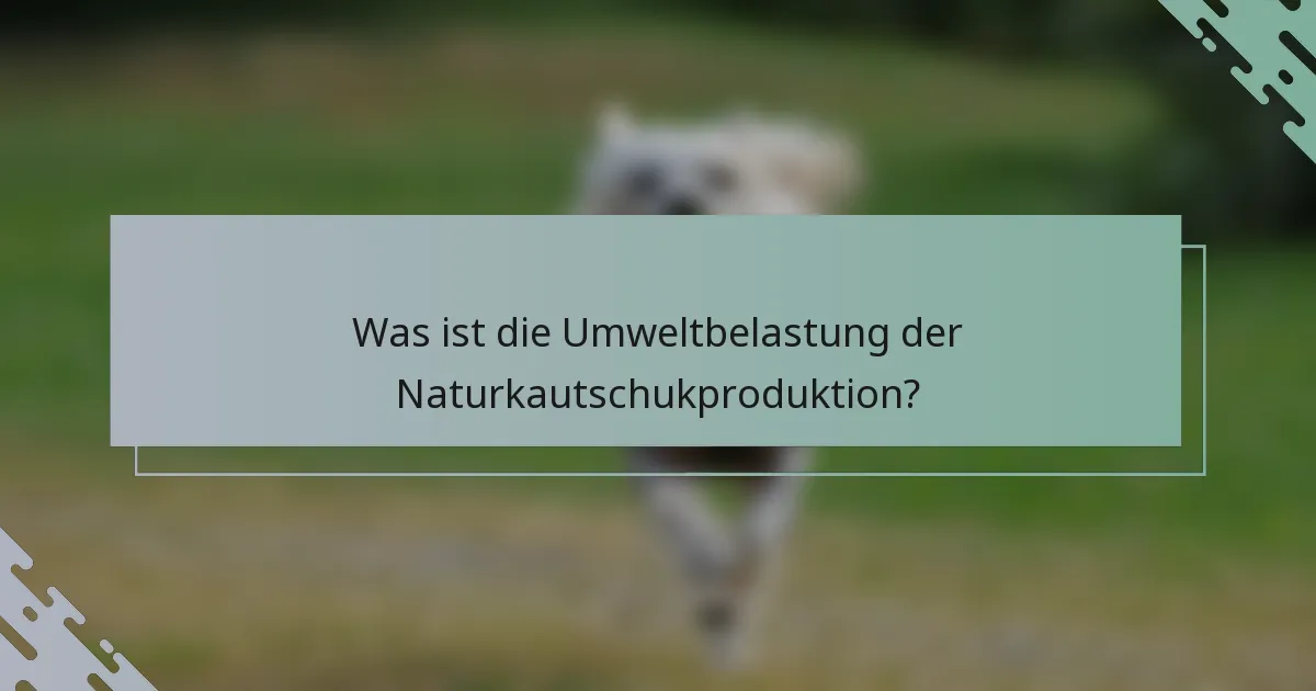Was ist die Umweltbelastung der Naturkautschukproduktion?