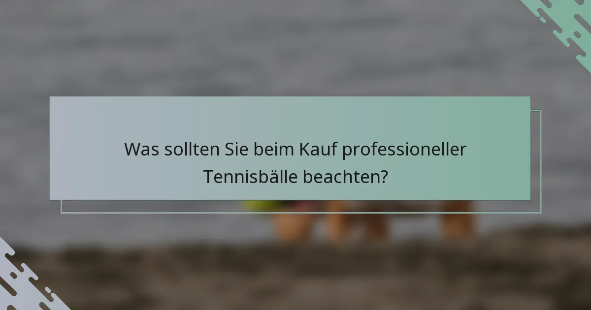 Was sollten Sie beim Kauf professioneller Tennisbälle beachten?