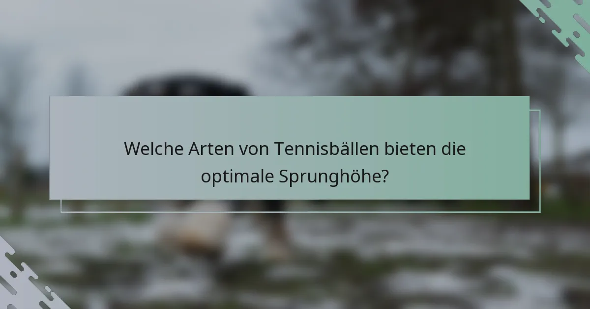 Welche Arten von Tennisbällen bieten die optimale Sprunghöhe?