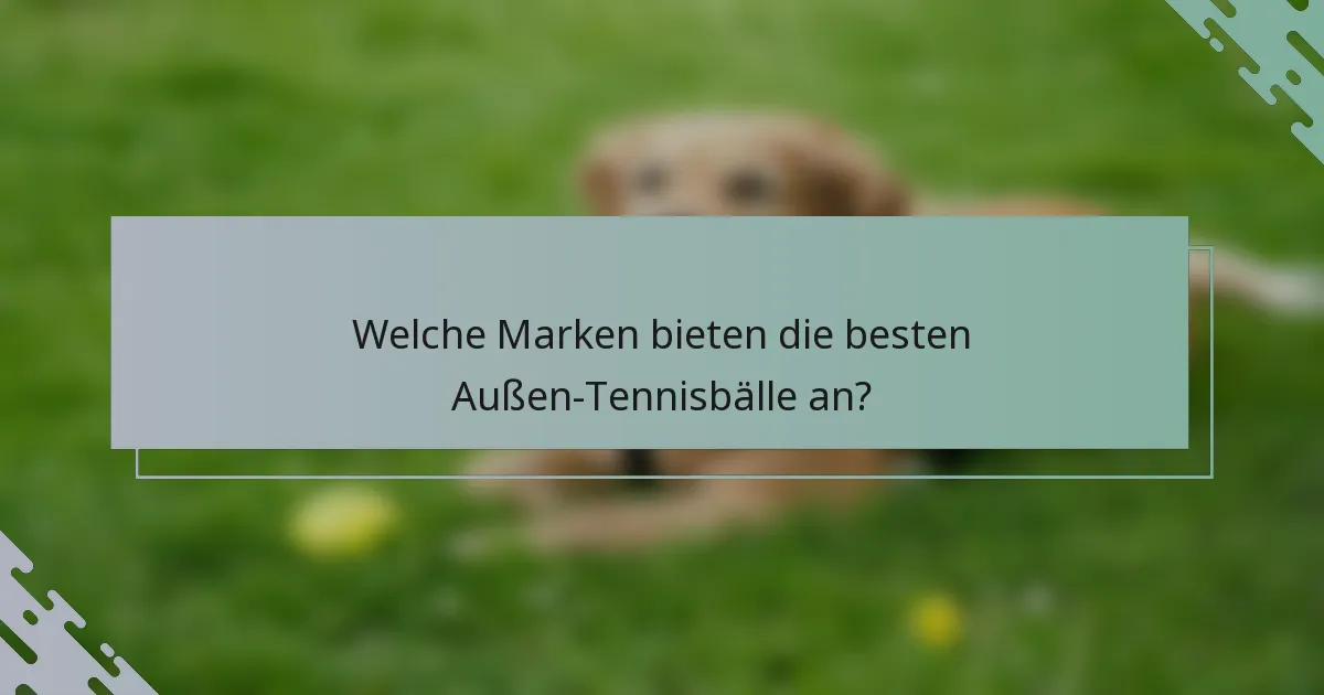 Welche Marken bieten die besten Außen-Tennisbälle an?