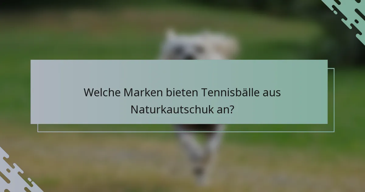 Welche Marken bieten Tennisbälle aus Naturkautschuk an?