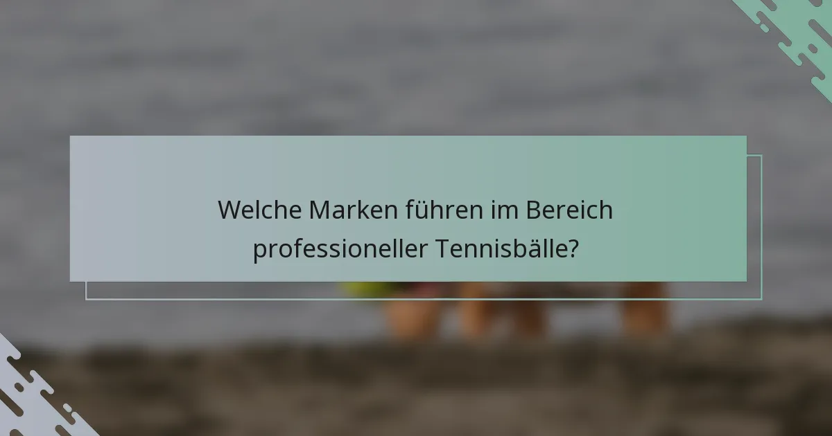 Welche Marken führen im Bereich professioneller Tennisbälle?