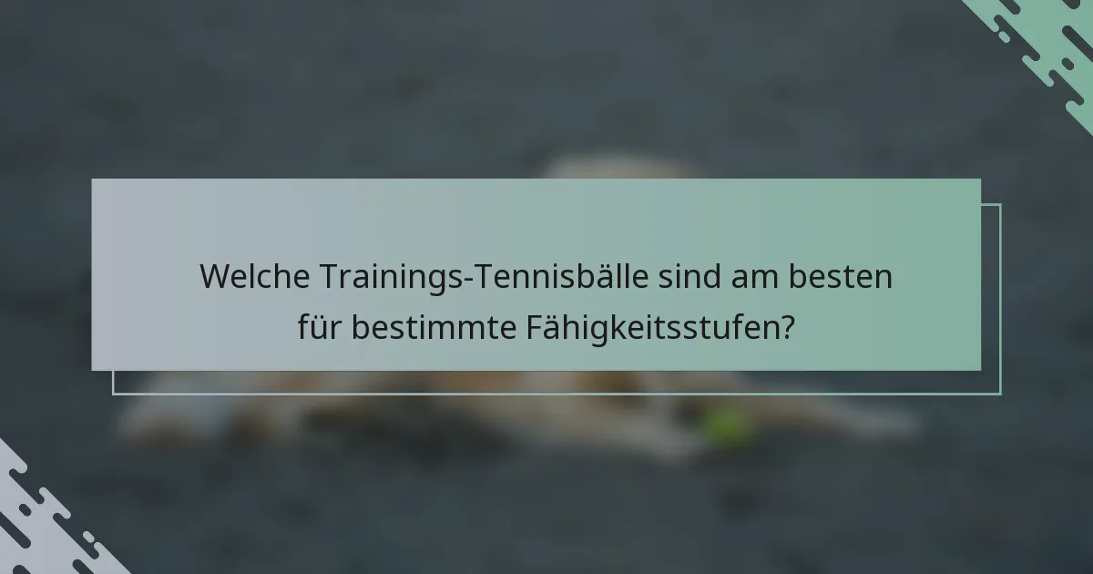 Welche Trainings-Tennisbälle sind am besten für bestimmte Fähigkeitsstufen?