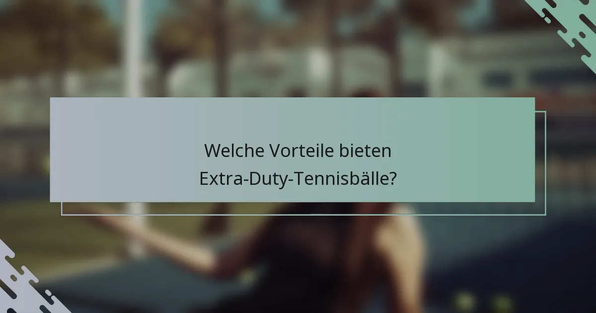 Welche Vorteile bieten Extra-Duty-Tennisbälle?