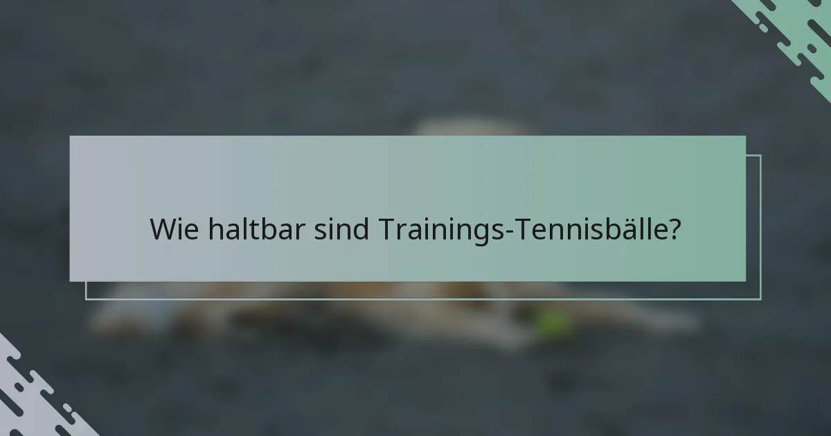 Wie haltbar sind Trainings-Tennisbälle?
